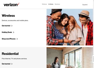 How govzw.com looks like on a tablet such as an iPad.