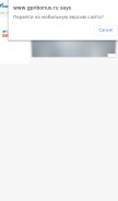 How gpnbonus.ru looks like on a mobile device such as an iPhone.