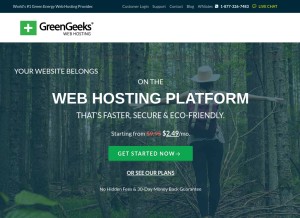 How greengeeks.com looks like on a tablet such as an iPad.