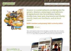 How grommr.com looks like on a tablet such as an iPad.