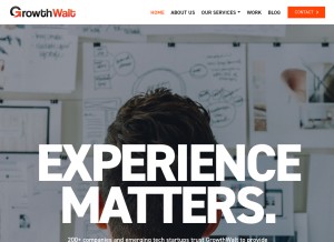 How growthwalt.com looks like on a tablet such as an iPad.