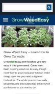 How growweedeasy.com looks like on a mobile device such as an iPhone.