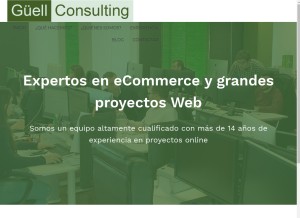 How guellconsulting.com looks like on a tablet such as an iPad.