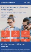 How guide-epargne.be looks like on a mobile device such as an iPhone.