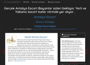 How h.turkiyescort.xyz looks like on a tablet such as an iPad.