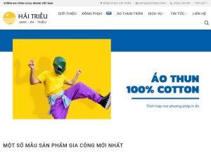 How haitrieu.com looks like on a tablet such as an iPad.