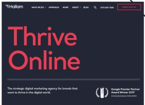 How hallaminternet.com looks like on a tablet such as an iPad.