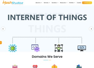 How hashstudioz.com looks like on a tablet such as an iPad.