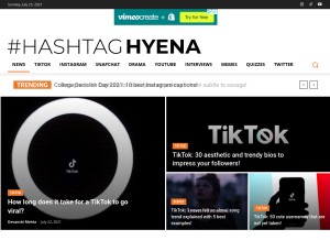 How hashtaghyena.com looks like on a tablet such as an iPad.
