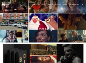 How havasww.com looks like on a tablet such as an iPad.