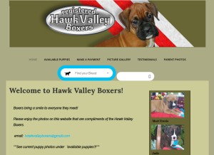 How hawkvalleyboxers.com looks like on a tablet such as an iPad.