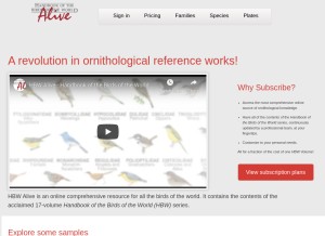 How hbw.com looks like on a tablet such as an iPad.