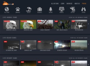 How hdontap.com looks like on a tablet such as an iPad.