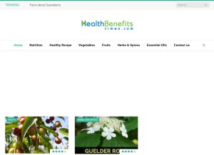 How healthbenefitstimes.com looks like on a tablet such as an iPad.