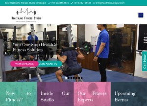 How healthlineudaipur.com looks like on a tablet such as an iPad.