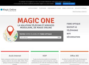 How hegerys.com looks like on a tablet such as an iPad.