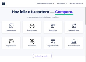 How hellosafe.com.mx looks like on a tablet such as an iPad.