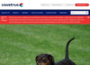 How henryscheinvet.com looks like on a tablet such as an iPad.