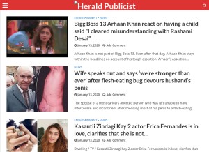 How heraldpublicist.com looks like on a tablet such as an iPad.