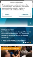 How hexagonppm.com looks like on a mobile device such as an iPhone.