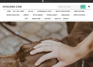 How hi5gizmo.com looks like on a tablet such as an iPad.