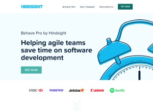 How hindsightsoftware.com looks like on a tablet such as an iPad.
