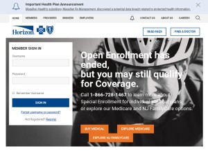 How horizonblue.com looks like on a tablet such as an iPad.