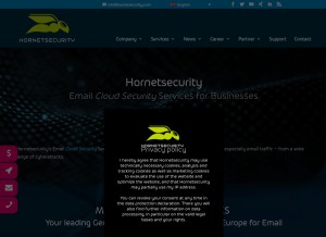 How hornetsecurity.com looks like on a tablet such as an iPad.