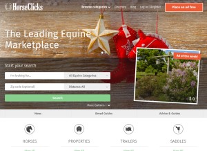 How horseclicks.com looks like on a tablet such as an iPad.
