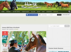 How horseforum.com looks like on a tablet such as an iPad.