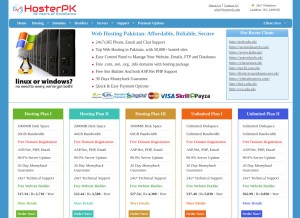 How hosterpk.com looks like on a tablet such as an iPad.