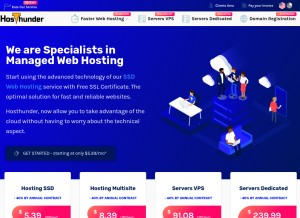 How hosthunder.com looks like on a tablet such as an iPad.