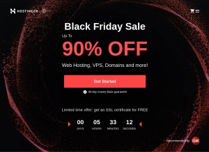 How hostinger.com looks like on a tablet such as an iPad.