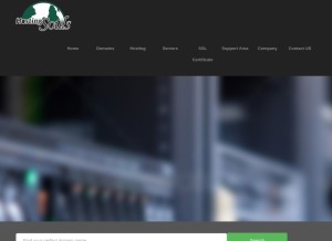 How hostingsouls.com looks like on a tablet such as an iPad.