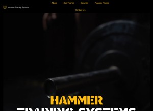 How htsys.co.za looks like on a tablet such as an iPad.