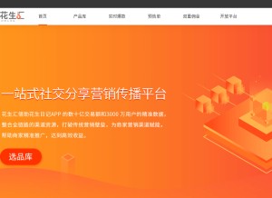 How huasheng100.com looks like on a tablet such as an iPad.