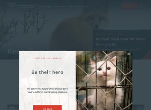 How humanesociety.org looks like on a tablet such as an iPad.