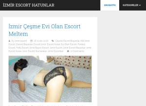 How hxznw.com looks like on a tablet such as an iPad.