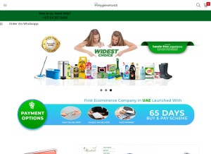 How hygieneforall.com looks like on a tablet such as an iPad.