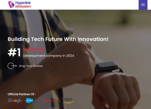 How hyperlinkinfosystem.com looks like on a tablet such as an iPad.