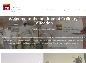 How ice.edu looks like on a tablet such as an iPad.
