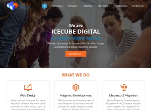 How icecubedigital.com looks like on a tablet such as an iPad.