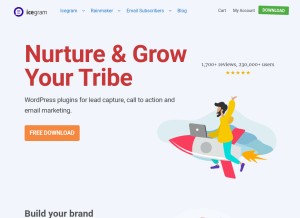 How icegram.com looks like on a tablet such as an iPad.