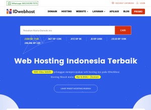 How idwebhost.com looks like on a tablet such as an iPad.
