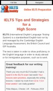 How ieltsbuddy.com looks like on a mobile device such as an iPhone.