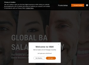 How iiba.org looks like on a tablet such as an iPad.