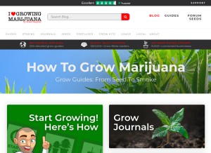 How ilovegrowingmarijuana.com looks like on a tablet such as an iPad.