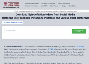 How iloveinstadownloader.com looks like on a tablet such as an iPad.
