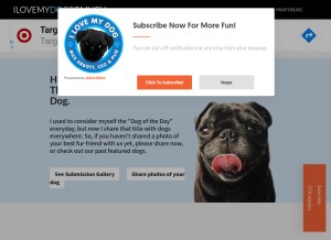 How ilovemydogsomuch.tv looks like on a tablet such as an iPad.
