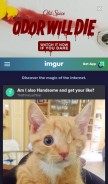 How imgur.com looks like on a mobile device such as an iPhone.